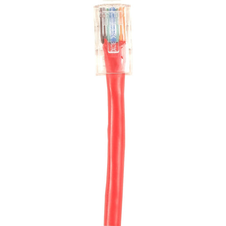 Black Box Connect CAT6 250 MHz Ethernet Patch Cable UTP PVC Basic Connectors Red