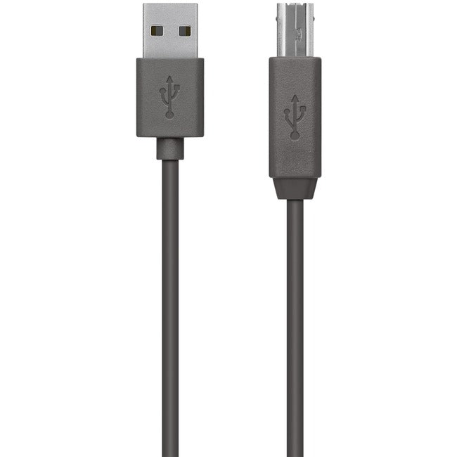 Câble de transfert de données USB Belkin