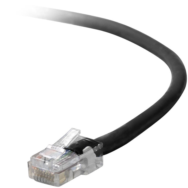 Câble de raccordement Belkin Cat5e