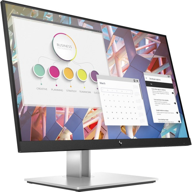 Moniteur LCD Full HD HP E24 G4 24" - 16:9 - Noir, Argent