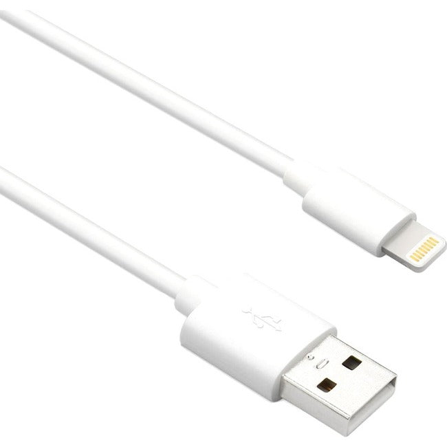 Câble adaptateur Axiom Lightning vers USB-A M/M - Blanc 6 pieds