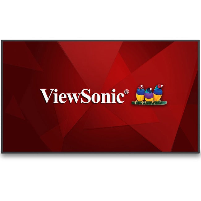 Écran de présentation sans fil ViewSonic CDE6530