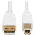 TRIPP LITE USB-A TO USB-B ANTIBACTERIAL CABLE 10FT