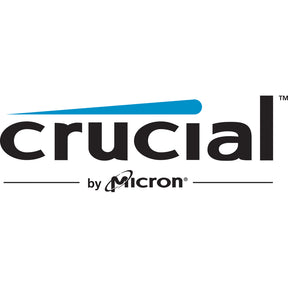Crucial E100 1 TB Solid State Drive - M.2 2280 Internal - PCI Express NVMe (PCI Express NVMe 4.0 x4) - Green
