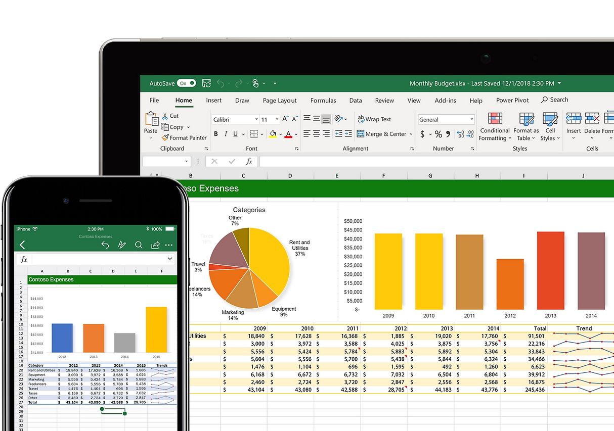 Formation sur la maîtrise fondamentale de Microsoft Excel 