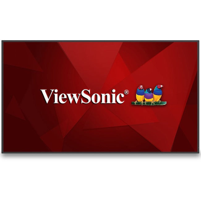 Écran de présentation sans fil ViewSonic CDE5530